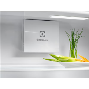 Įmontuojamas šaldytuvas Electrolux Prekė - LNG7TE18S, NoFrost, 256 L, 178 cm