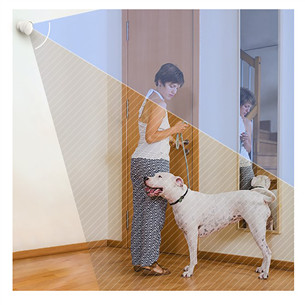 EZVIZ T1C, белый - Датчик движения Товар - CS-T1C