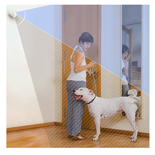 EZVIZ T1C, white - PIR Motion Sensor Item - CS-T1C