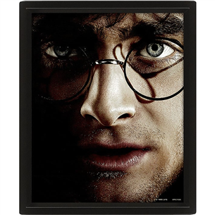 Plakatas Harry Potter vs Voldemort, 20x25 cm, 3D Prekė - 5051265850065 5051265850065