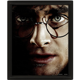 Plakatas Harry Potter vs Voldemort, 20x25 cm, 3D Prekė - 5051265850065