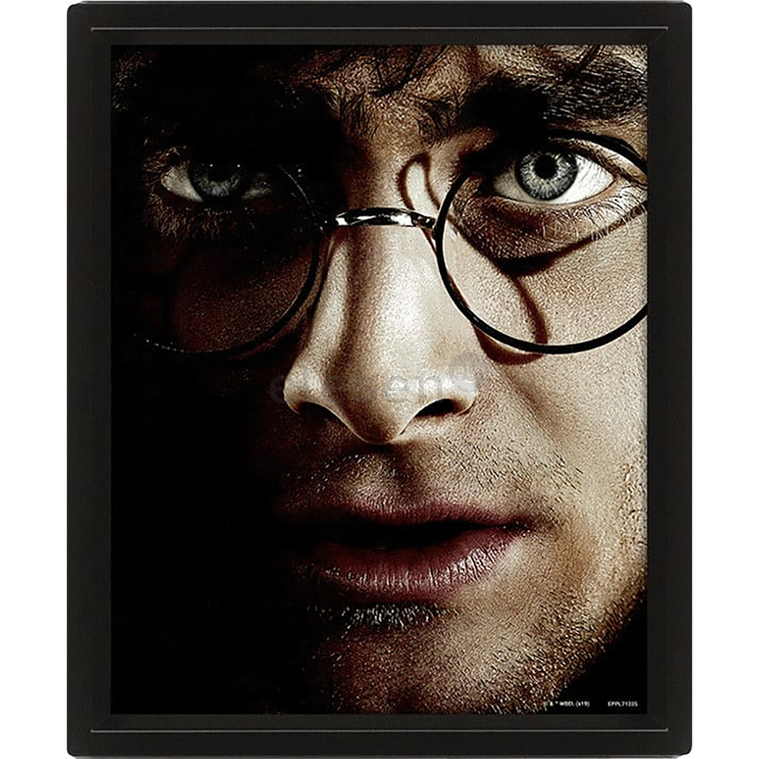 Harry Potter vs Voldemort, 20x25 cm, 3D - Wall art Item - 5051265850065