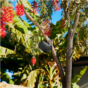 Sony SRS-XB100, juoda - Belaidė kolonėlė