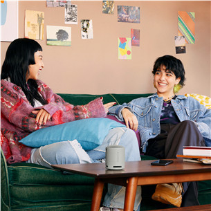 Sony SRS-XB100, šviesiai pilka - Belaidė kolonėlė