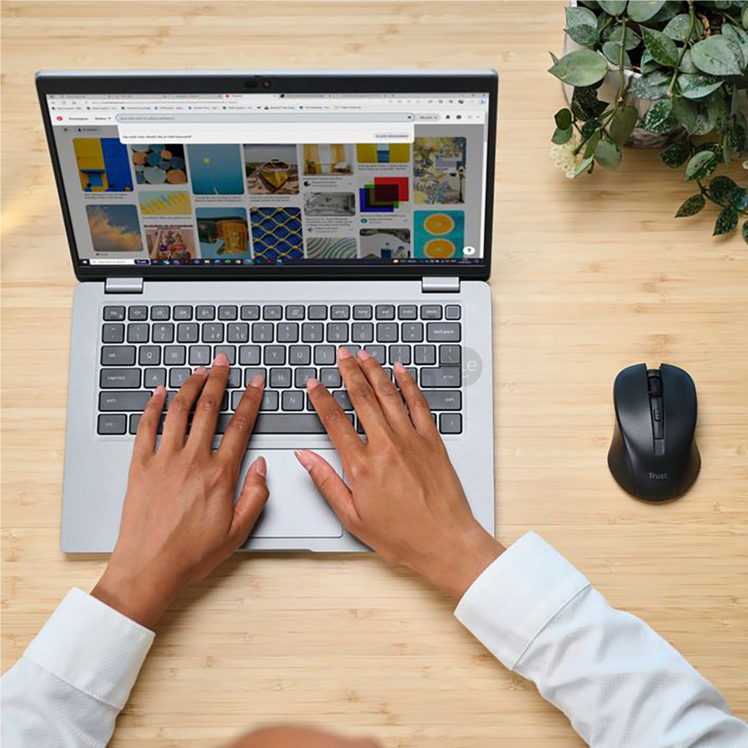 Trust Mydo Silent Click, тихая работа, черный - Беспроводная мышь