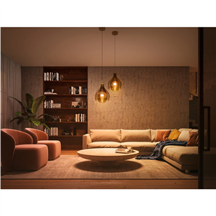 Išmaniųjų šviesų komplektas Philips Hue White Ambiance E27, 3 vnt, dimmer Prekė - 929002468403