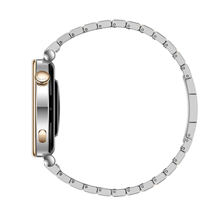 Huawei Watch GT4, 41 mm, nerūdijantis plienas - Išmanusis laikrodis Prekė - 55020BHY