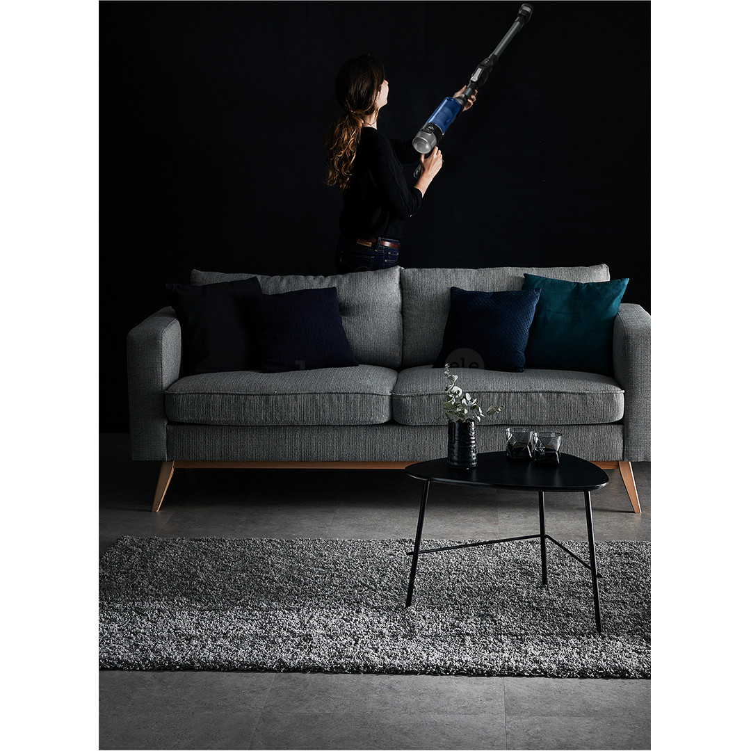 Tefal XForce Flex 9.60 Aqua, juodas - Belaidis dulkių siurblys