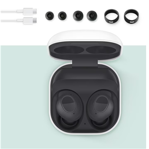 Samsung Galaxy Buds FE, графитовый - Полностью беспроводные наушники Товар - SM-R400NZAAEUE