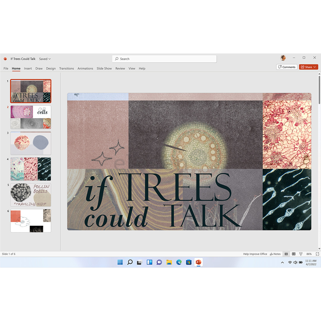 Microsoft 365 Personal, 12 mėnesių prenumerata, 1 naudotojas / 5 įrenginiai, 1 TB OneDrive, ENG - Programinė įranga Prekė - QQ2-01897