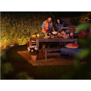Philips Hue Lightstrip Outdoor, White and Color Ambiance, 5 m, color - Lauko LED šviesos juosta Prekė - 929002289102