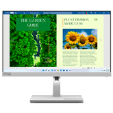 Lenovo L24m-40, 24'', FHD, LED IPS, 100 Hz, USB-C, gray - Monitor Item - 67A9UAC3EU
