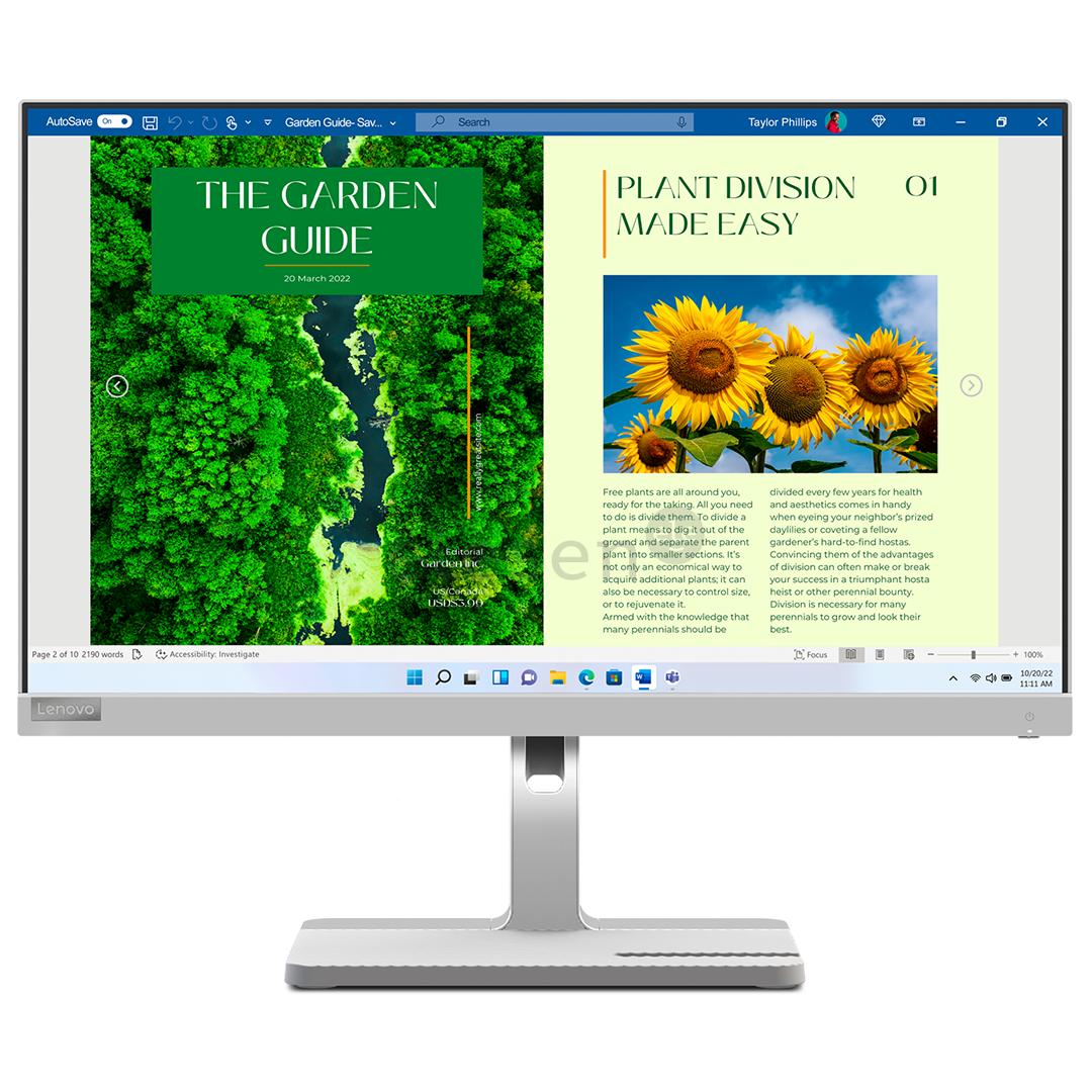 Lenovo L24m-40, 24'', FHD, LED IPS, 100 Hz, USB-C, gray - Monitor Item - 67A9UAC3EU