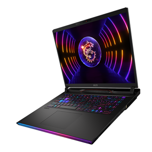 MSI Raider GE78 HX, 17'', QHD, 240 Гц, i9, 32 ГБ, 2 ТБ, RTX 4080, W11P, ENG, черный - Ноутбук Товар - GE78HX-14VHG-641NL
