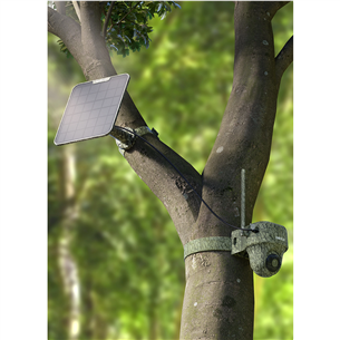 Reolink Go Ranger PT + Solar Panel 2, 8 MP, 4G LTE, battery powered, night vision - Hunting Camera with Solar Panel Item - B4GPT4K06SP