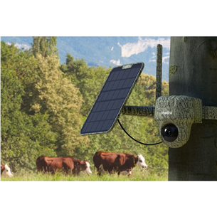 Reolink Go Ranger PT + Solar Panel 2, 8 MP, 4G LTE, battery powered, night vision - Hunting Camera with Solar Panel Item - B4GPT4K06SP