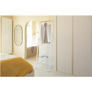 Brabantia, pilka - Lyginimo garais lenta