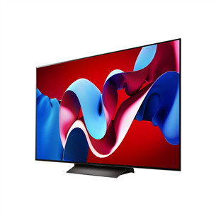 LG evo C4, 55'', 4K UHD, OLED, gray - TV