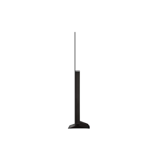 LG evo C4, 55'', 4K UHD, OLED, gray - TV Item - OLED55C42LA.AEU