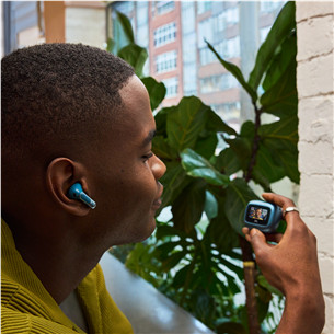 Belaidės ausinės JBL Live Flex 3, sidabrinės Prekė-JBLLIVEFLEX3SIL