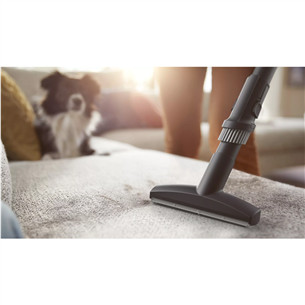 Philips Performer LED 8000 Series, 900 W, grey - Vacuum cleaner Item - XD8152/12
