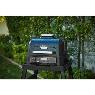 Ninja Woodfire Pro XL, black - Electric BBQ Grill & Smoker