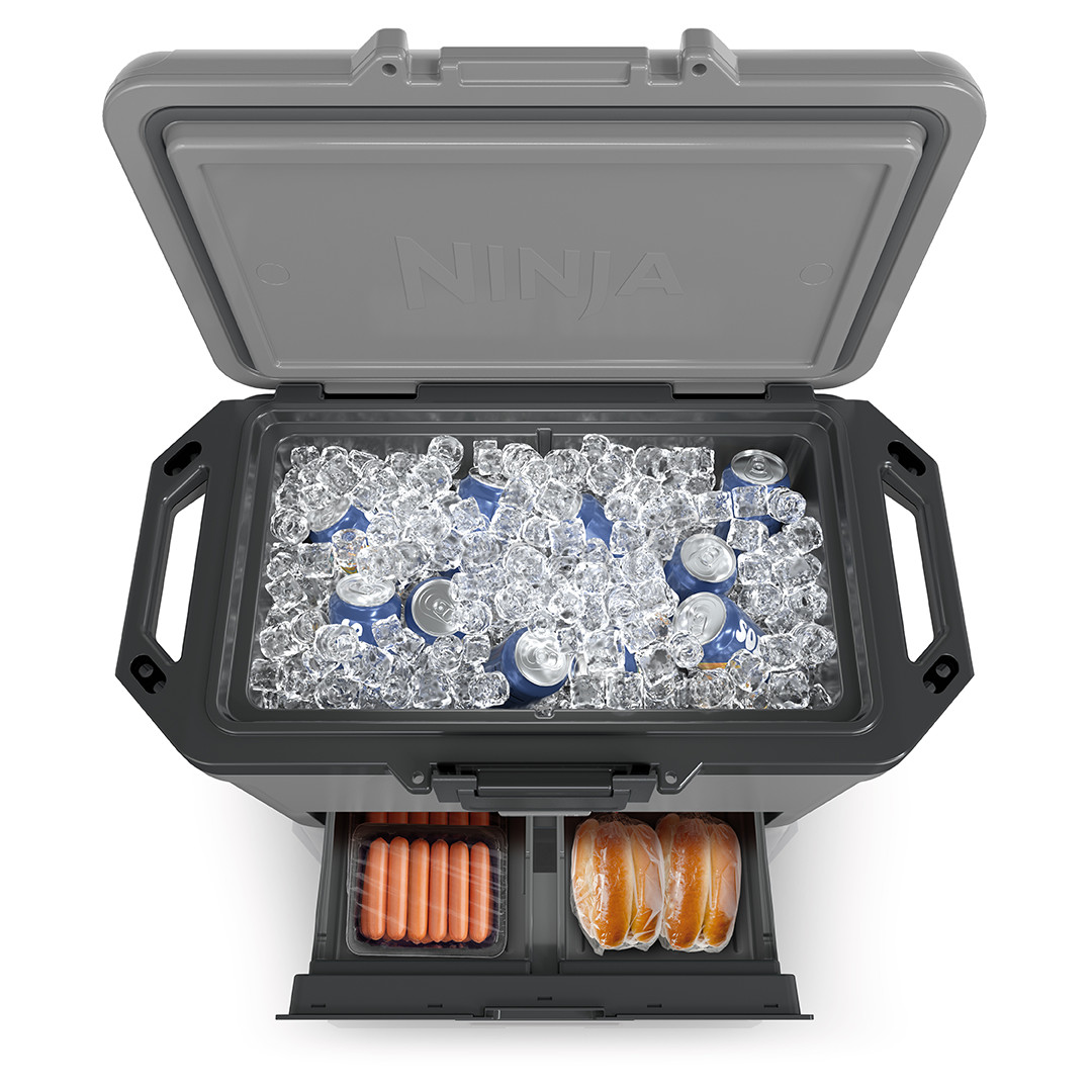 Ninja FrostVault, 47 L, grey - Car cooler