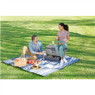 Ninja FrostVault, 47 L, grey - Car cooler