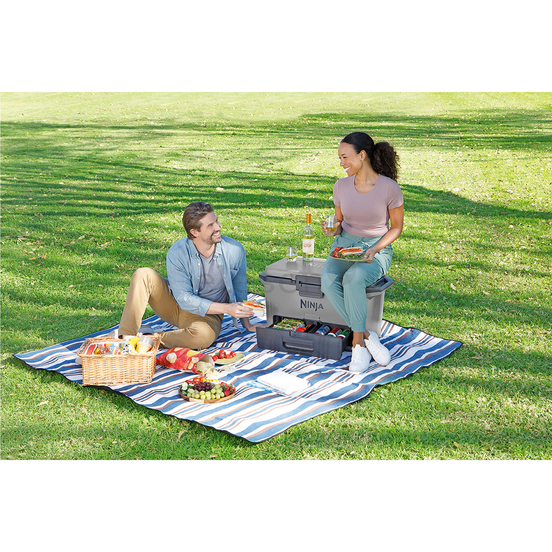 Ninja FrostVault, 47 L, grey - Car cooler