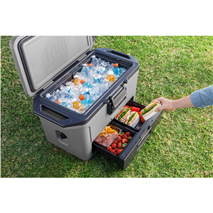 Šaldymo dėžė Ninja FrostVault FB151EUGY, 47 L, pilka