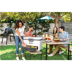 Ninja FrostVault FB151EUWH, 47 L, balta - Šaldymo dėžė