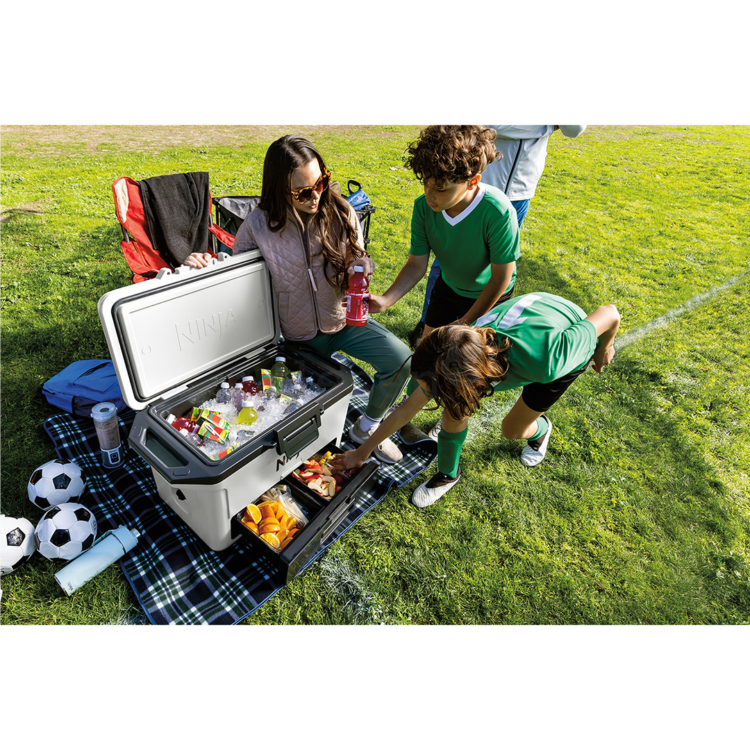 Ninja FrostVault FB151EUWH, 47 L, balta - Šaldymo dėžė