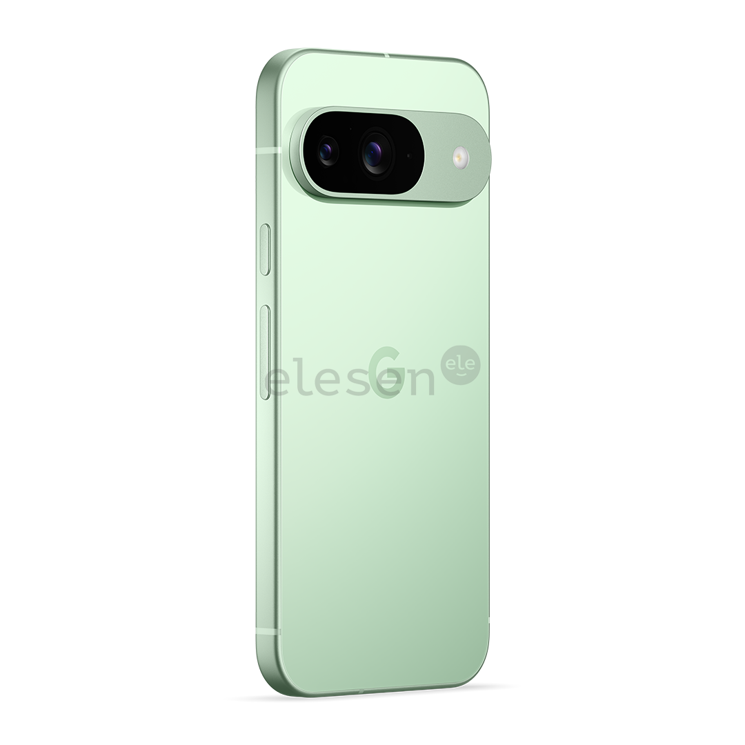 Google Pixel 9, 12 GB, 256 GB, wintergreen - Smartphone