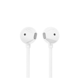 Ausinės JBL Tune 305C, USB-C, baltos   Prekė-JBLT305CWHT