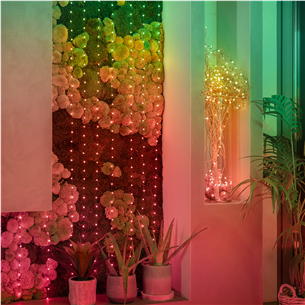 Twinkly Candies Pearls, RGB, 200 LED, USB-C, 12 m, žalias laidas - Išmanioji girlianda Prekė-TWKP200RGB-G