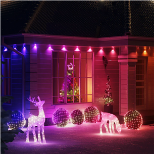 Twinkly Tree Topper, RGB, 76 LED, USB-C, balta, - Išmanioji Kalėdų eglutės dekoracija Prekė-TWTT030SPP-GUSB
