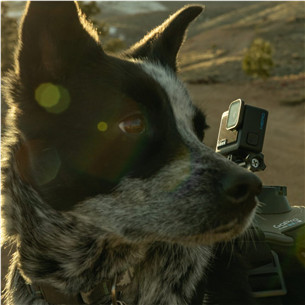 GoPro HERO, черный - Экшн-камера