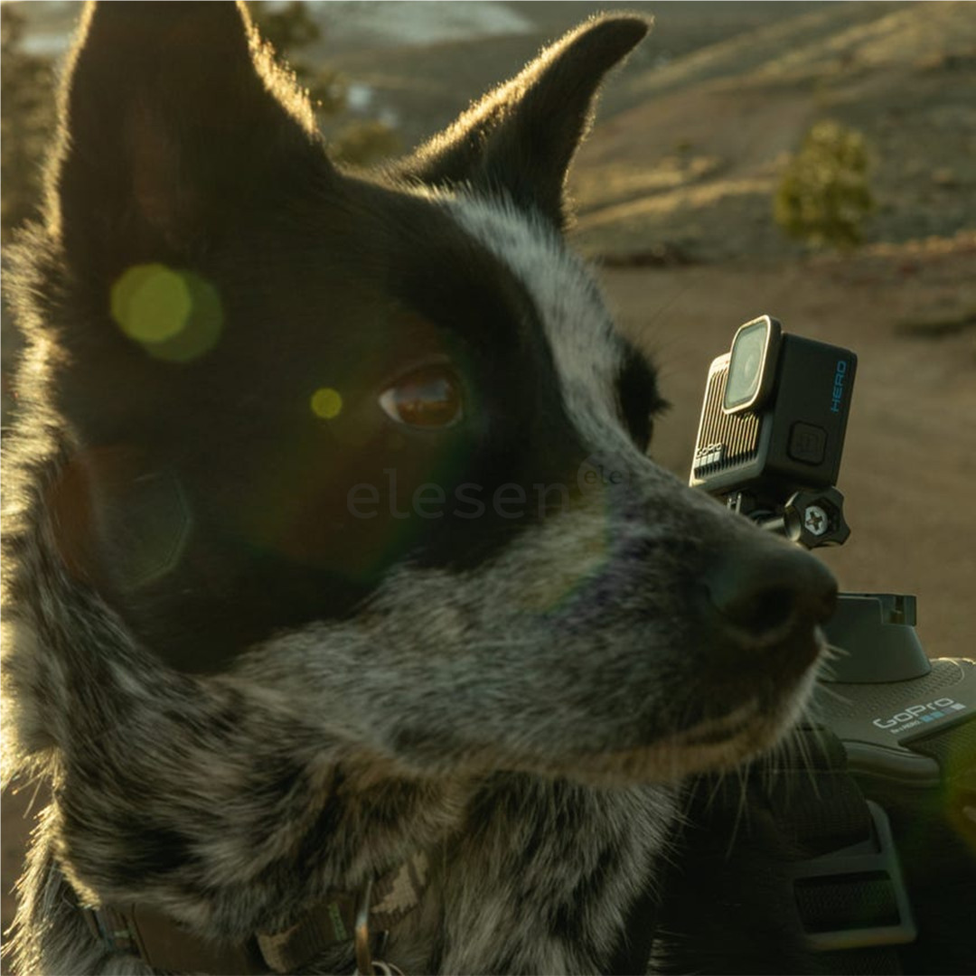 GoPro HERO, черный - Экшн-камера