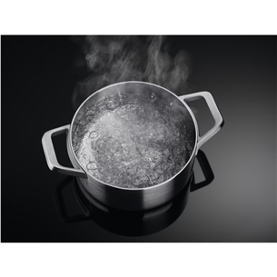 AEG 6000 SteamBake, 73 L, nerūdijančio plieno - Indukcinė viryklė