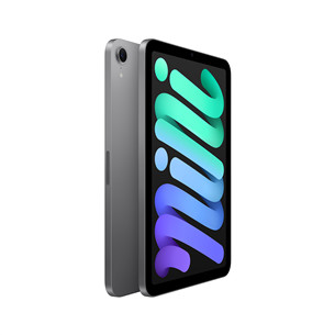 Apple iPad Mini (A17 Pro), 8,3'', 256 GB, WiFi, pilkas - Planšetinis kompiuteris