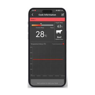 HerQs EasyBBQ, light gray - Smart cooking thermometer