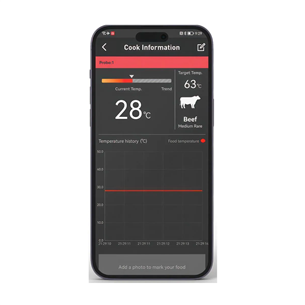 HerQs EasyBBQ, light gray - Smart cooking thermometer