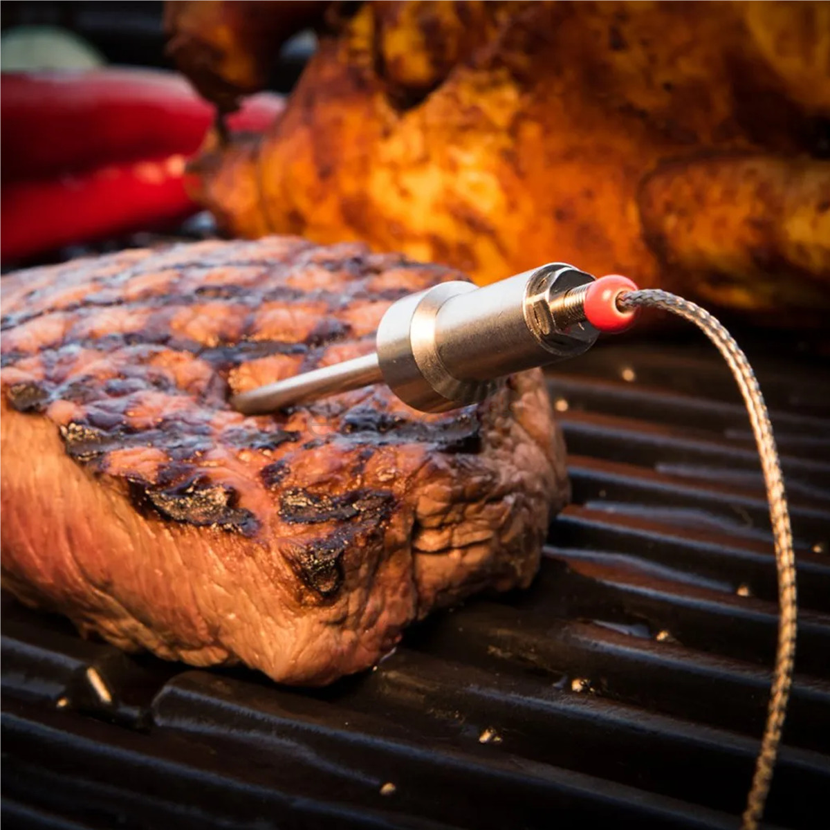 HerQs Probes - Зонды для измерения температуры