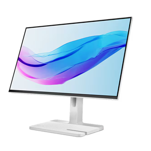 Lenovo L24m-4A, 23,8'', FHD, IPS, 100 Hz, cloud gray - Monitor