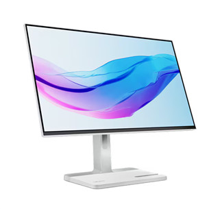 Lenovo L24m-4A, 23,8'', FHD, IPS, 100 Hz, USB-C, cloud gray - Monitor