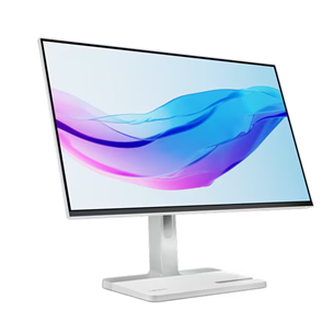 Lenovo L24m-4A, 23,8'', FHD, IPS, 100 Hz, cloud gray - Monitor