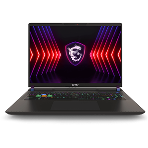 MSI Vector 16 HX A14V, 16'', 240 Hz, QHD+, i7, 16 GB, 1 TB, RTX 4080, ENG, cosmos gray - Notebook