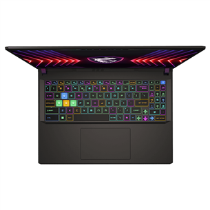 MSI Vector 16 HX A14V, 16'', 240 Hz, QHD+, i7, 16 GB, 1 TB, RTX 4080, ENG, cosmos gray - Notebook