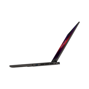 MSI Sword 17 20Y Anniversary Edition, 17'', 165 Hz, FHD+, i7, 16GB, 1 TB, RTX 4060, ENG, cosmos gray - Notebook bundle