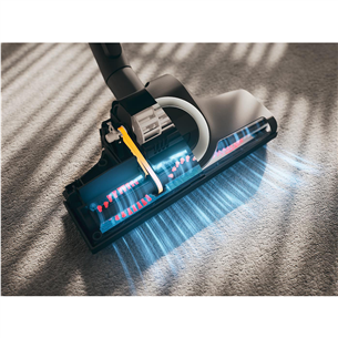 Miele Blizzard CX1 Cat & Dog Flex, 890 W, pilkas - Dulkių siurblys